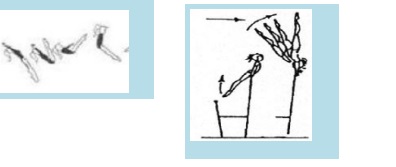 كب (ابستارت) + كاست مرتين