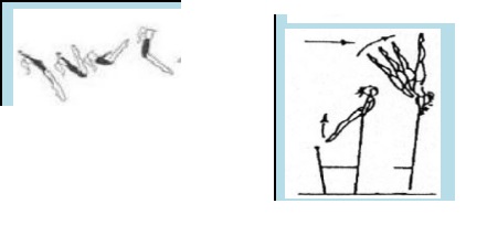 الكب ابستارت على البار السفلي + كاست للوقوف على اليدين
