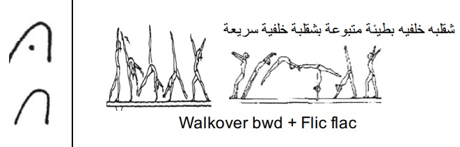باك ولكوفر+ فليك فلاك